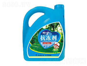 ������-�ִ��-�r�_����