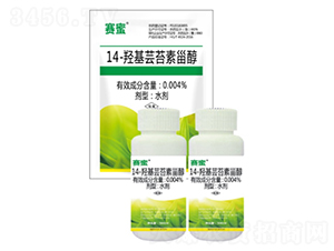 14-�u���|̦���޴�-ِ��-�r�_����