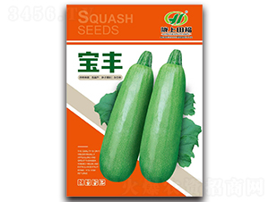 ���S-�����J�N��-�︣�r�I