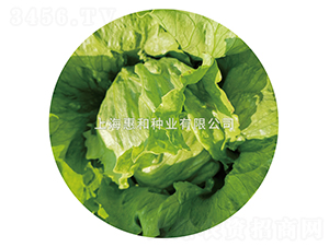 ��(y��u)��801-���˷N��-�ݺͷN�I(y��)