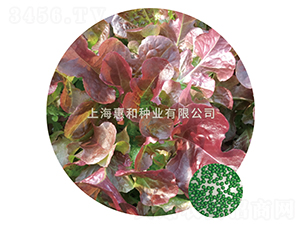 �����~-���˷N��-�ݺͷN�I(y��)