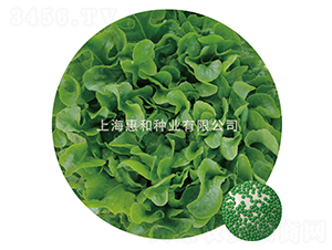 �G��-���˷N��-�ݺͷN�I(y��)