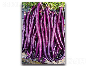 ����-���ӷN��-�������r�I