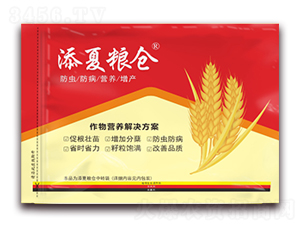 ����I�B���a��Q����-���ļZ�}-�S�՘�