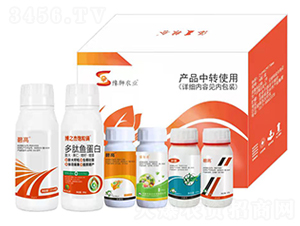 ����I�B���a��Q����-�S�՘�