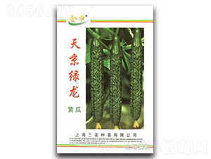 �쾩�G��-�S�ϷN��-����