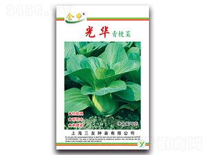 ���A�๣��-��˷N��-����