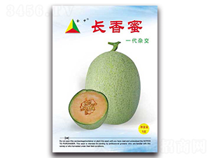 長香蜜-甜瓜種子-三友