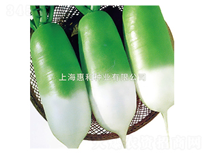 ���S-�}���N��-�ݺͷN�I(y��)