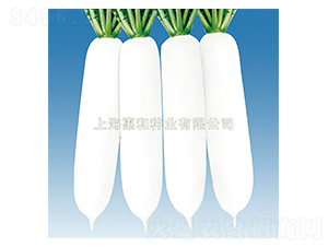 ����ʹ-�}���N��-�ݺͷN�I(y��)