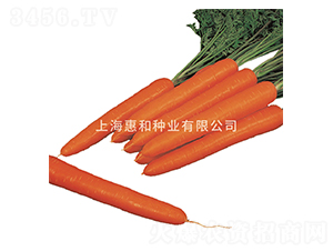 ؐ��-���}���N��-�ݺͷN�I(y��)