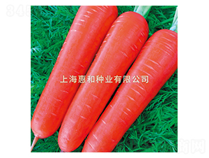 �S˹-���}���N��-�ݺͷN�I(y��)