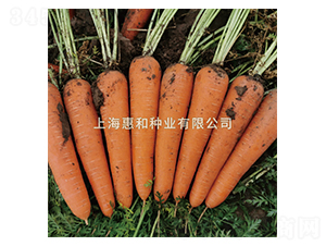 ���ρ�907-���}���N��-�ݺͷN�I