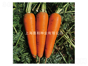 ������-���}���N��-�ݺͷN�I