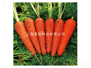 ����˹-���}���N��-�ݺͷN�I