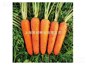 ِ�t-���}���N��-�ݺͷN�I