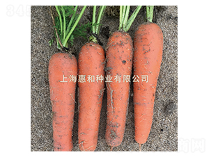 �tʥ��̖-���}���N��-�ݺͷN�I