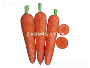 ����˹-���}���N��-�ݺͷN�I