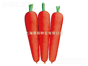 �_��˹һ̖-���}���N��-�ݺͷN�I