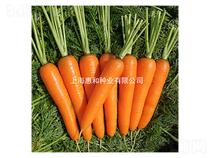 �{��˹-���}���N��-�ݺͷN�I