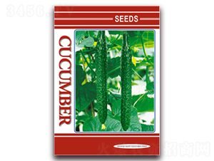 �S��Ӣ����-�S�ϷN��-����N�I(y��)