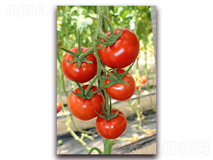 �����_(d��)-���ѷN��-����N�I(y��)