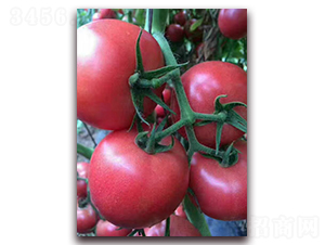 HL628-���ѷN��-����N�I