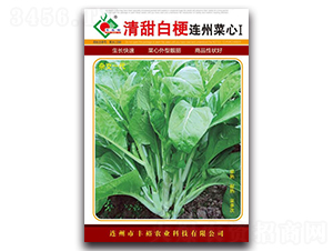 ����׹��B�ݲ��Ģ�-���ķN��-�Sԣ�r�I