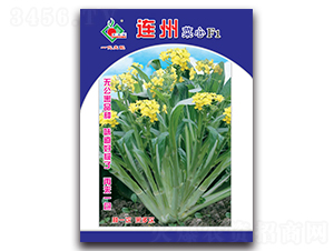 �B�ݲ���F1-���ķN��-�Sԣ�r�I