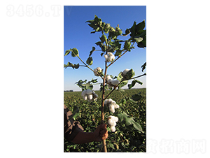 �����27̖-�޻��N��-�����r(n��ng)�I(y��)