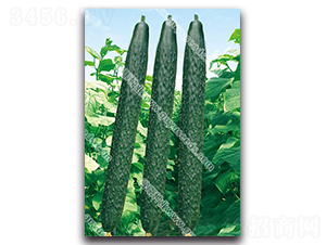 ����07-3�S��-�S�ϷN��-����N�I(y��)