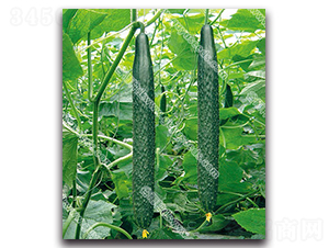 ����07-1�S��-�S�ϷN��-����N�I(y��)