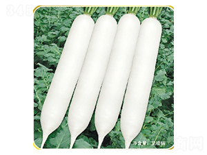 �L��-�}���N��-�ݠ���