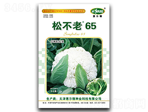 松不老65-松花菜種子-惠爾稼