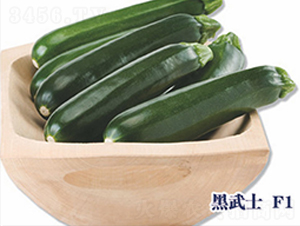 ����ʿF1-�����J�N��-ʥ�A���S