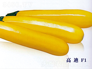 �ߵ�F1-�����J�N��-ʥ�A���S