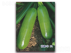 ���2̖F1-�����J�N��-ʥ�A���S