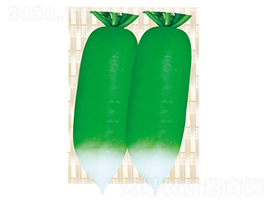 ƽ��һ̖-�}���N��-ƽ�S�N�I