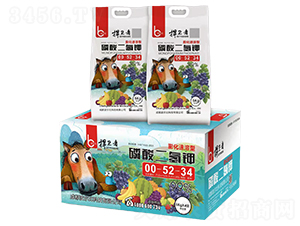 ��������00-52-34-���l(w��i)��-������