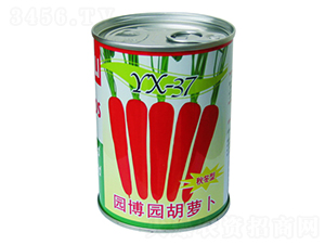 �@���@-���}���N��-���d��