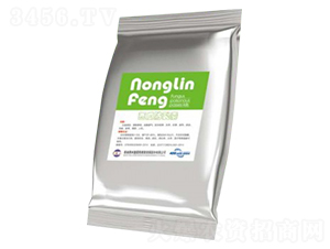 ���Ϸ�����-�r���L-��S��