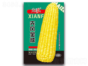 ���L��Ŵ-Ŵ���׷N��-���L