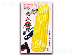 ���L��Ŵ-��Ŵ���׷N��-���L