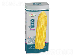 ������338-Ŵ���׷N��-���L