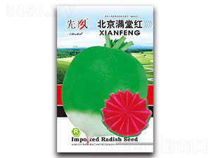 �����M�üt-�}���N��-���L