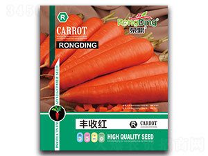 �S�ռt-�}���N��-���L