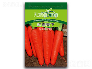 �t������-�}���N��-���L