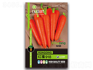 �t��918-�}���N��-���L