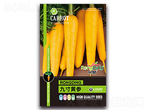 �Ŵ��S��-�}���N��-���L