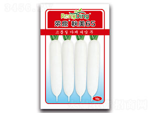 �s������65-�}���N��-���L